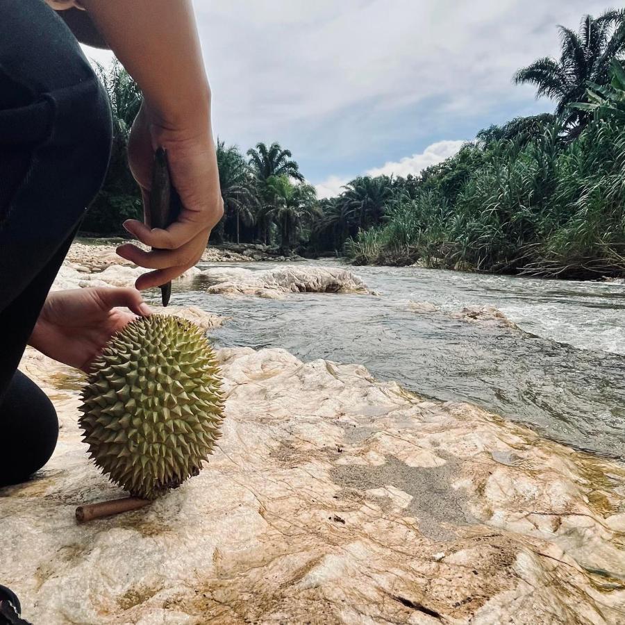 Sahom Valley Resort - Agro & Eco Park Kampar Exteriör bild